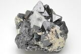 Octahedral Magnetite Crystals In Calcite - Russia #209446-2